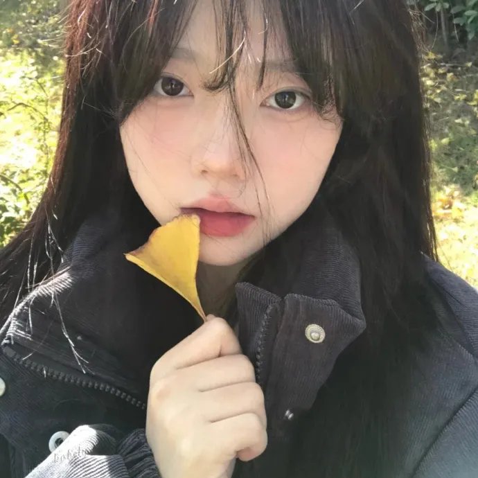 延安游击队